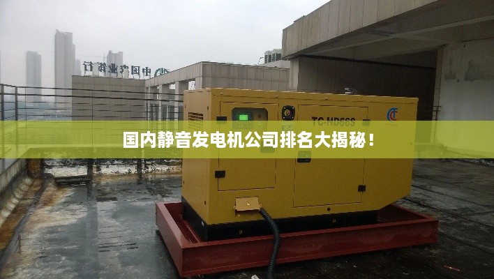 國內(nèi)靜音發(fā)電機公司排名大揭秘！