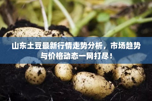 meilunmeihuan 第2頁