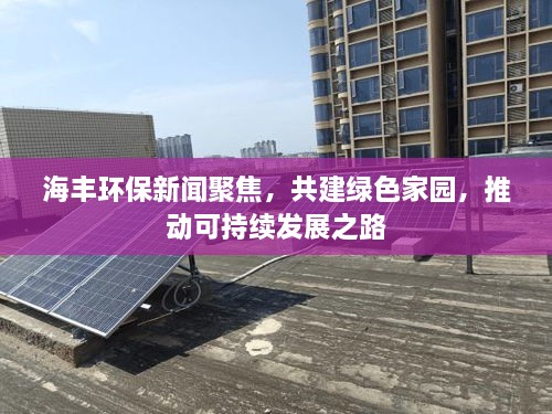 海豐環(huán)保新聞聚焦，共建綠色家園，推動(dòng)可持續(xù)發(fā)展之路