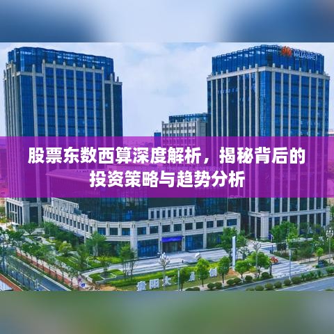 股票東數(shù)西算深度解析，揭秘背后的投資策略與趨勢(shì)分析