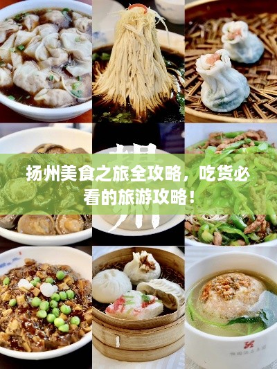 揚(yáng)州美食之旅全攻略，吃貨必看的旅游攻略！