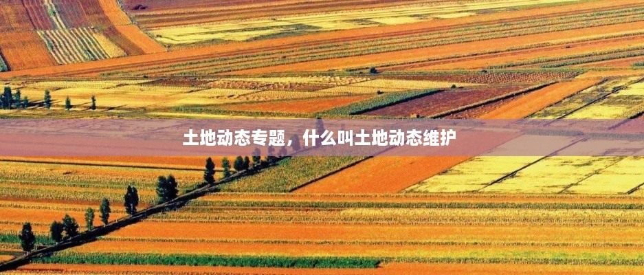 土地動態(tài)專題，什么叫土地動態(tài)維護 