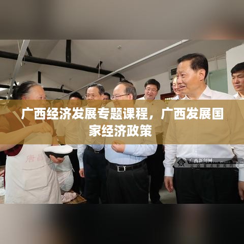 廣西經濟發(fā)展專題課程，廣西發(fā)展國家經濟政策 