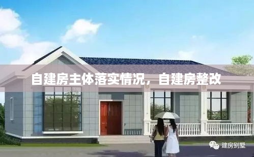 自建房主體落實情況，自建房整改 