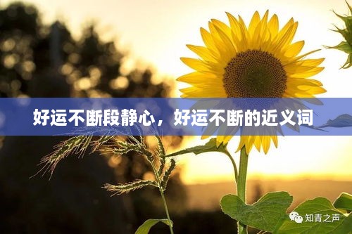 好運(yùn)不斷段靜心，好運(yùn)不斷的近義詞 