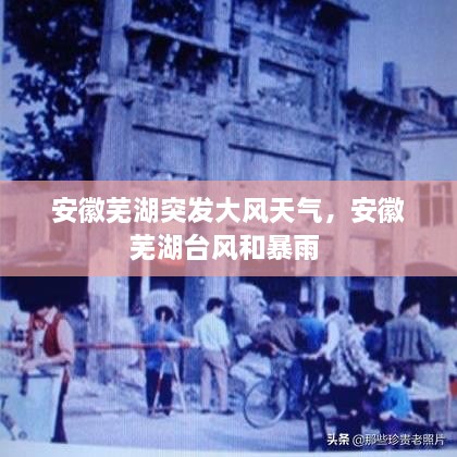 安徽蕪湖突發(fā)大風(fēng)天氣，安徽蕪湖臺風(fēng)和暴雨 
