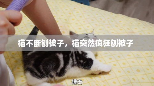 產品展示 第134頁