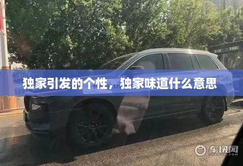 獨家引發(fā)的個性，獨家味道什么意思 