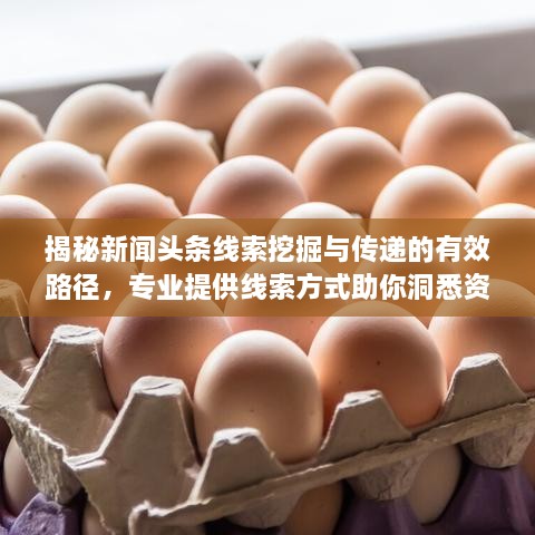 揭秘新聞頭條線索挖掘與傳遞的有效路徑，專業(yè)提供線索方式助你洞悉資訊動態(tài)