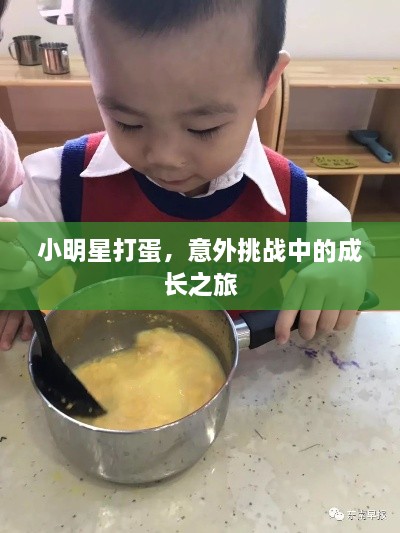 小明星打蛋，意外挑戰(zhàn)中的成長(zhǎng)之旅