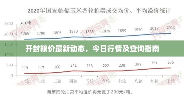 開封糧價最新動態(tài)，今日行情及查詢指南