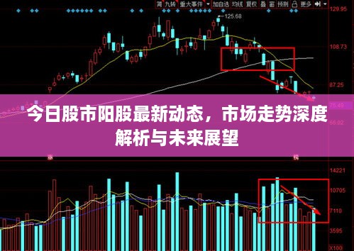 今日股市陽股最新動態(tài)，市場走勢深度解析與未來展望