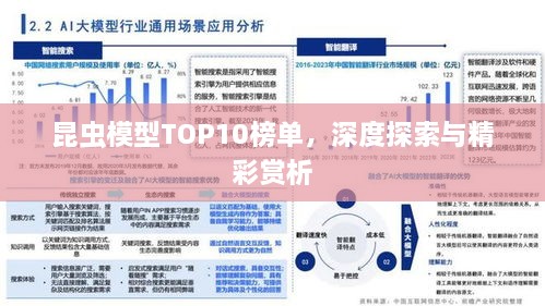昆蟲模型TOP10榜單，深度探索與精彩賞析