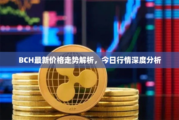 BCH最新價(jià)格走勢(shì)解析，今日行情深度分析