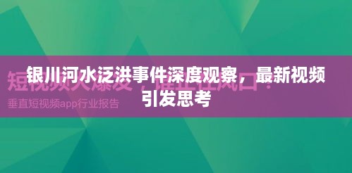 銀川河水泛洪事件深度觀察，最新視頻引發(fā)思考
