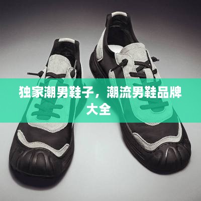 獨家潮男鞋子，潮流男鞋品牌大全 
