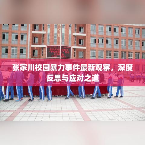 張家川校園暴力事件最新觀察，深度反思與應(yīng)對之道