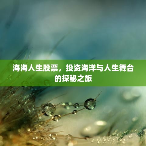 海海人生股票，投資海洋與人生舞臺(tái)的探秘之旅