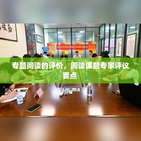 專題閱讀的評價，閱讀課題專家評議要點 