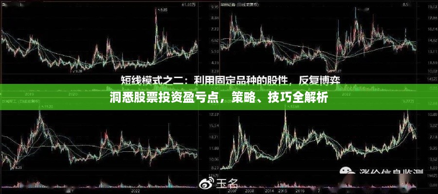 洞悉股票投資盈虧點(diǎn)，策略、技巧全解析