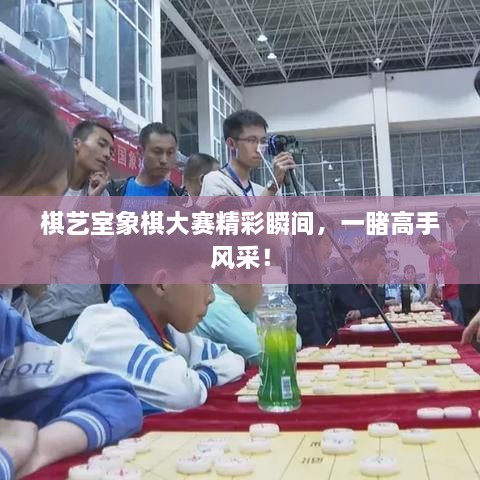 棋藝室象棋大賽精彩瞬間，一睹高手風(fēng)采！
