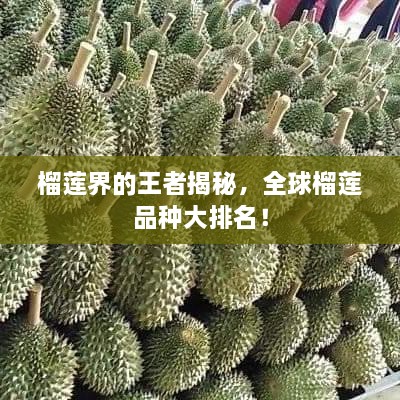 榴蓮界的王者揭秘，全球榴蓮品種大排名！