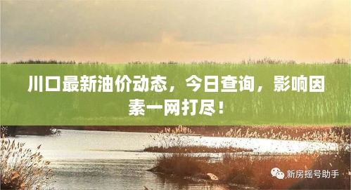 川口最新油價動態(tài)，今日查詢，影響因素一網(wǎng)打盡！