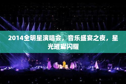 2014全明星演唱會(huì)，音樂盛宴之夜，星光璀璨閃耀
