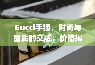 Gucci手鐲，時(shí)尚與品質(zhì)的交融，價(jià)格揭秘！
