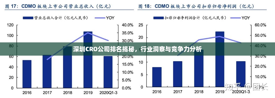 深圳CRO公司排名揭秘，行業(yè)洞察與競(jìng)爭(zhēng)力分析
