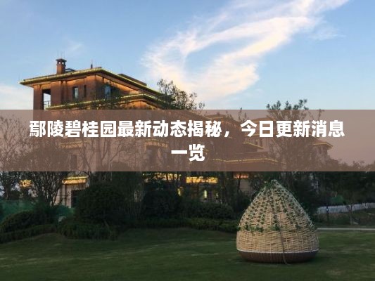 鄢陵碧桂園最新動態(tài)揭秘，今日更新消息一覽