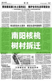 南陽(yáng)核桃樹村拆遷重磅更新，最新動(dòng)態(tài)揭秘！