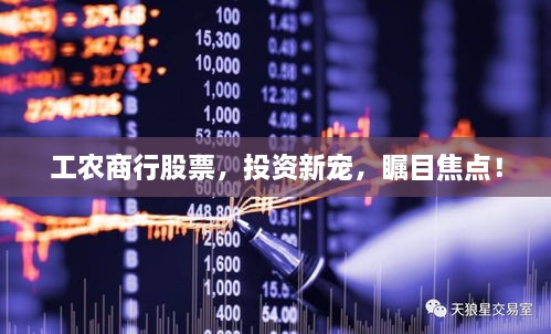 工農(nóng)商行股票，投資新寵，矚目焦點(diǎn)！