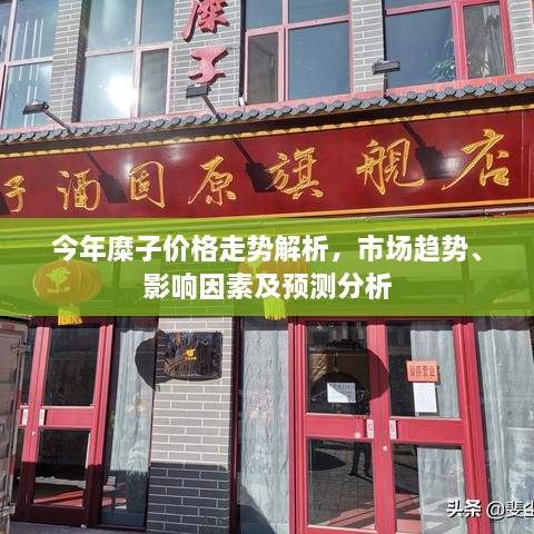 今年糜子價(jià)格走勢解析，市場趨勢、影響因素及預(yù)測分析