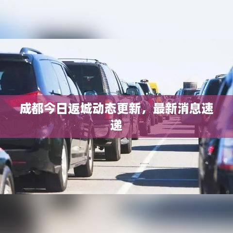 成都今日返城動態(tài)更新，最新消息速遞
