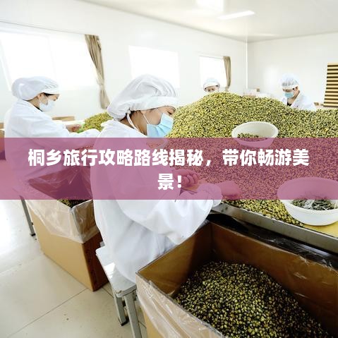 桐鄉(xiāng)旅行攻略路線揭秘，帶你暢游美景！