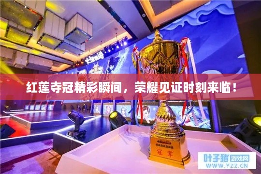 紅蓮奪冠精彩瞬間，榮耀見證時刻來臨！