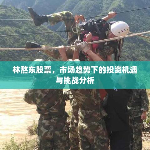 林熬東股票，市場(chǎng)趨勢(shì)下的投資機(jī)遇與挑戰(zhàn)分析