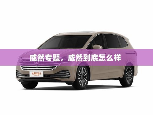 威然專題，威然到底怎么樣 