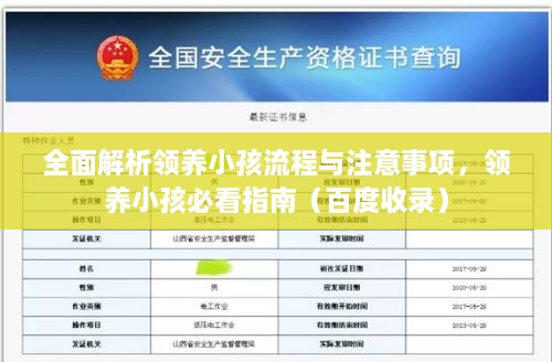 全面解析領養(yǎng)小孩流程與注意事項，領養(yǎng)小孩必看指南（百度收錄）