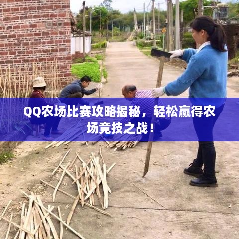 QQ農(nóng)場(chǎng)比賽攻略揭秘，輕松贏得農(nóng)場(chǎng)競(jìng)技之戰(zhàn)！