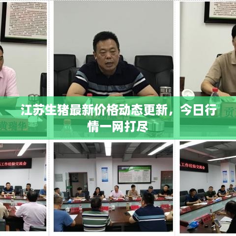 江蘇生豬最新價(jià)格動(dòng)態(tài)更新，今日行情一網(wǎng)打盡