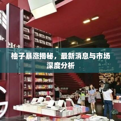 柚子暴漲揭秘，最新消息與市場深度分析