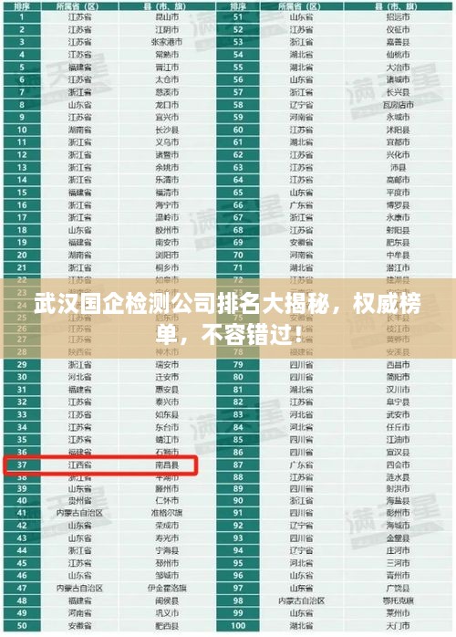 武漢國企檢測公司排名大揭秘，權(quán)威榜單，不容錯過！