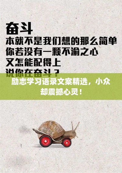 勵志學習語錄文案精選，小眾卻震撼心靈！