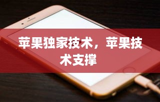 蘋(píng)果獨(dú)家技術(shù)，蘋(píng)果技術(shù)支撐 