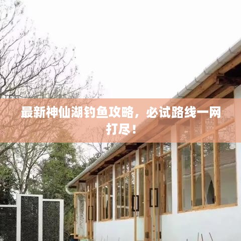 最新神仙湖釣魚攻略，必試路線一網(wǎng)打盡！