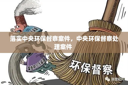 落實中央環(huán)保督察案件，中央環(huán)保督察處理案件 