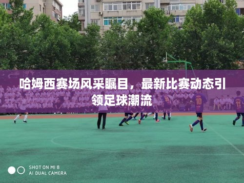 哈姆西賽場(chǎng)風(fēng)采矚目，最新比賽動(dòng)態(tài)引領(lǐng)足球潮流