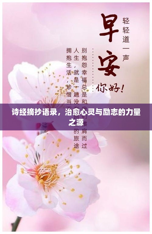 詩(shī)經(jīng)摘抄語(yǔ)錄，治愈心靈與勵(lì)志的力量之源